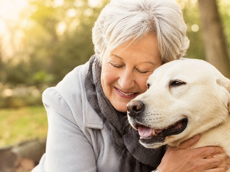 Pet Therapy, Stroke e Malattie Neurologiche