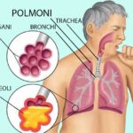La Cappella dei Mercanti: un gioiello poco conosciuto.